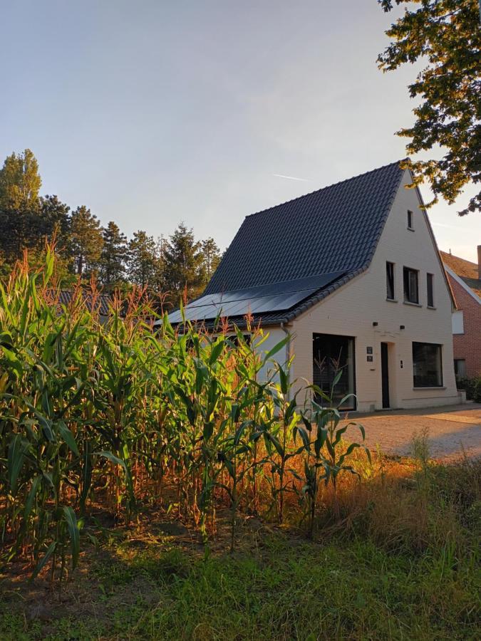 Snelleghem Bed & Breakfast